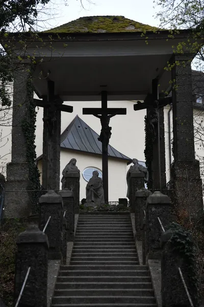 DSC_7012 (Large).JPG